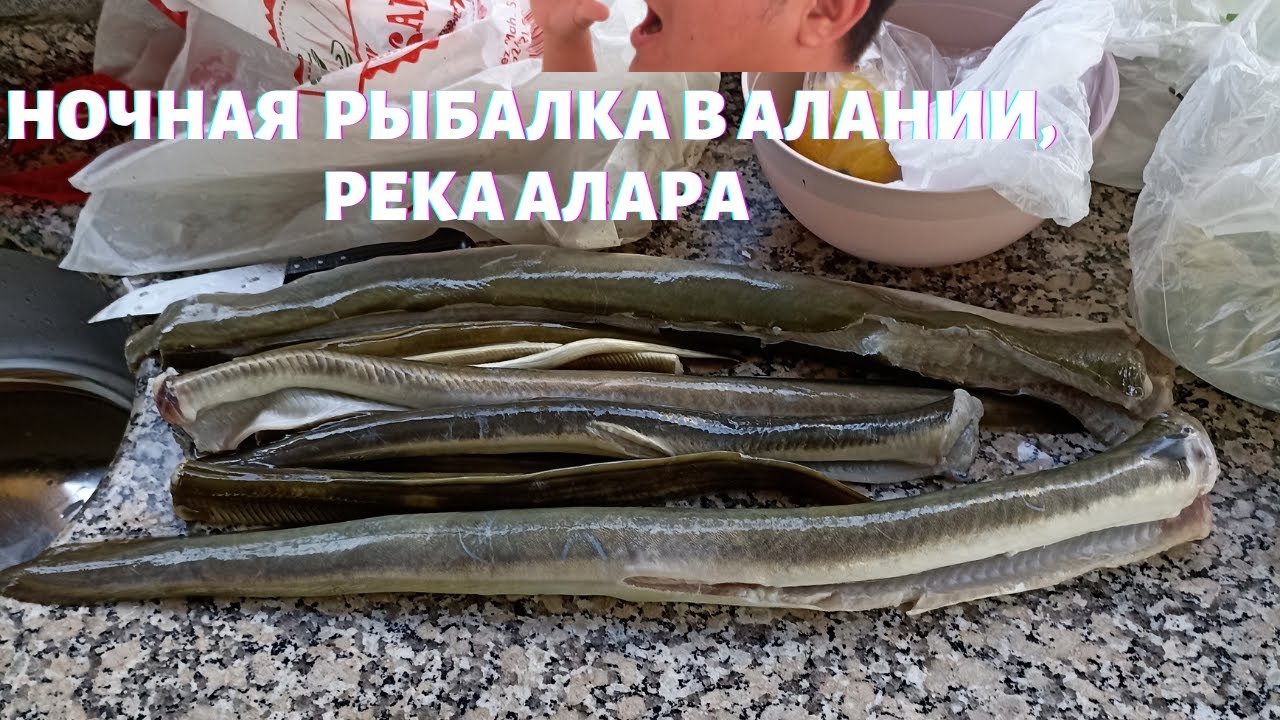 РЫБАЛКА НОЧЬЮ В ТУРЦИИ, РЕКА АЛАРА
