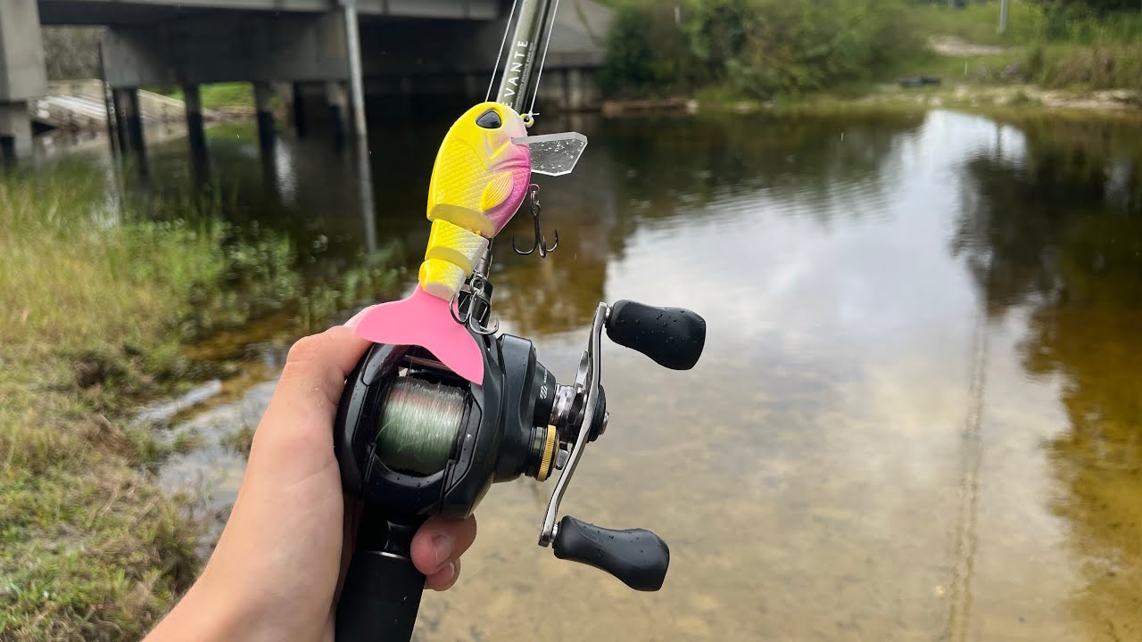 Fall Bass Fishing Is In Full Swing (Topwater Only!!!)