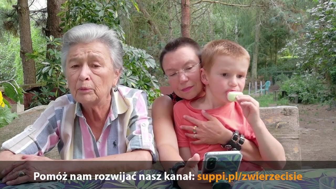 Pytania i odpowiedzi 25 lipca 2026