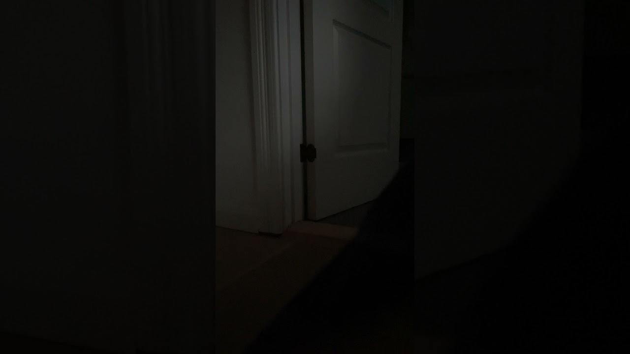 No Impact Man - movie summary
