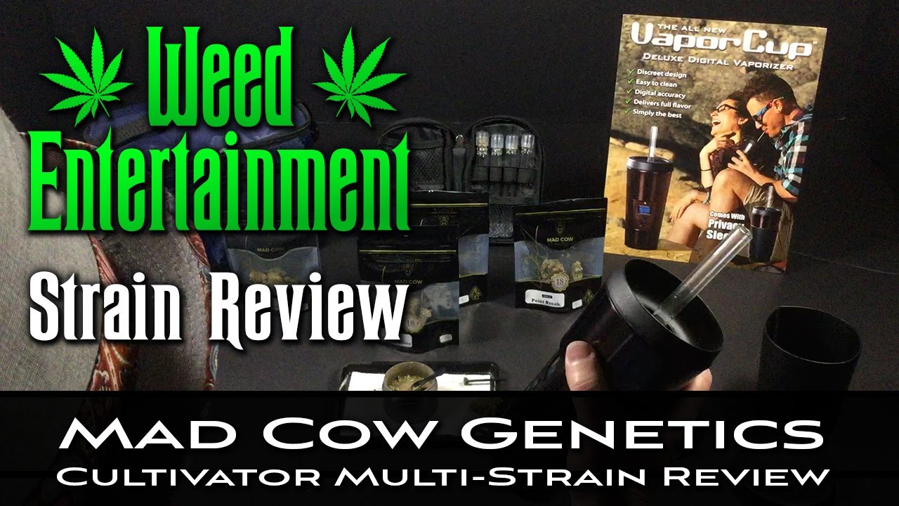 Mad Cow Genetics - Cultivator Multi-Strain Review