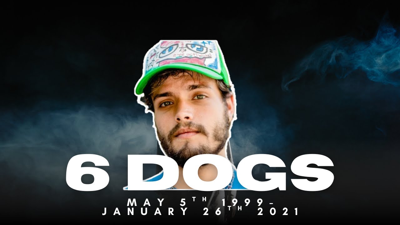 Remembering 6Dogs