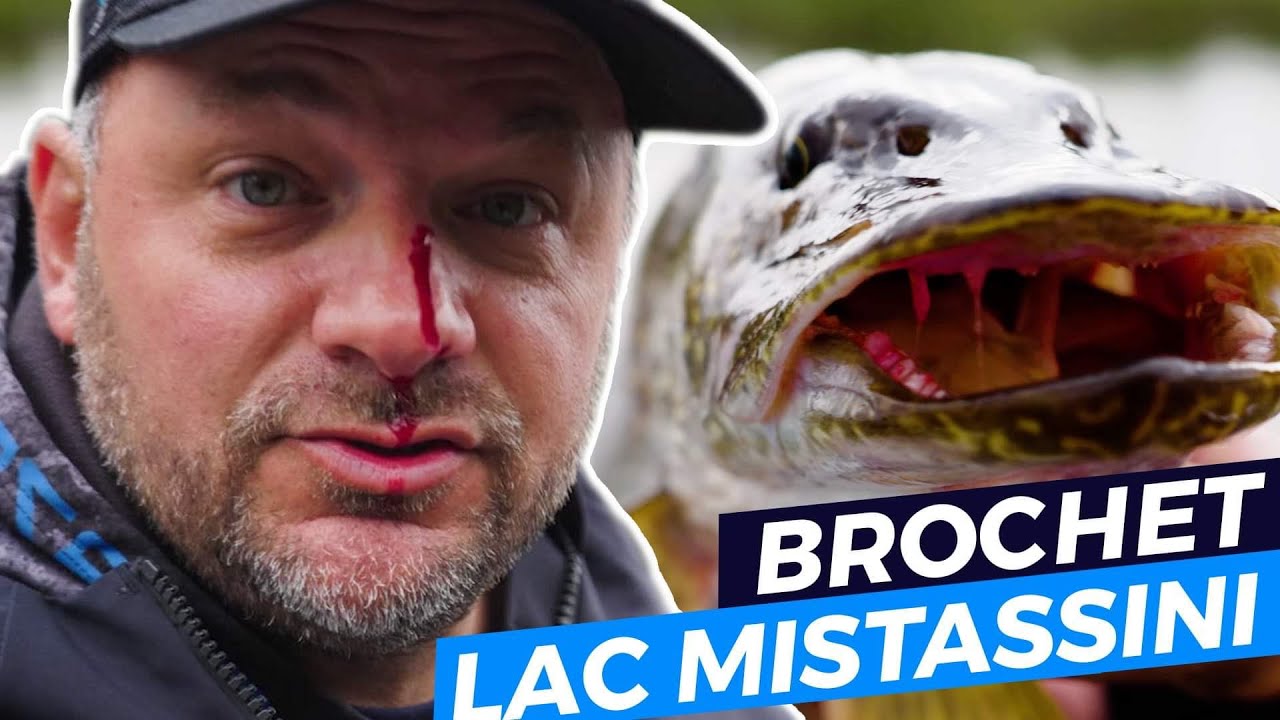 Pêche aux brochets du Nord au lac Mistassini - Christian Fournier: 12 mois par année Ép 19