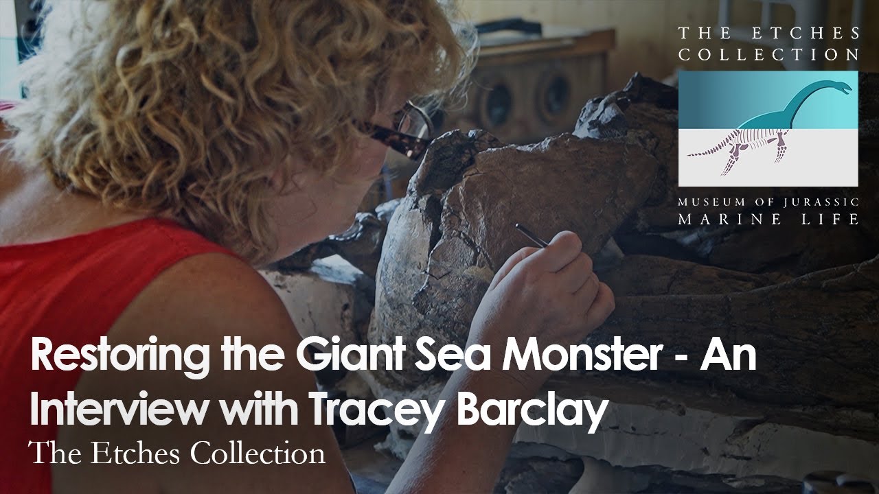 Restoring the Jurassic Sea Monster - An Interview with Tracey Barclay