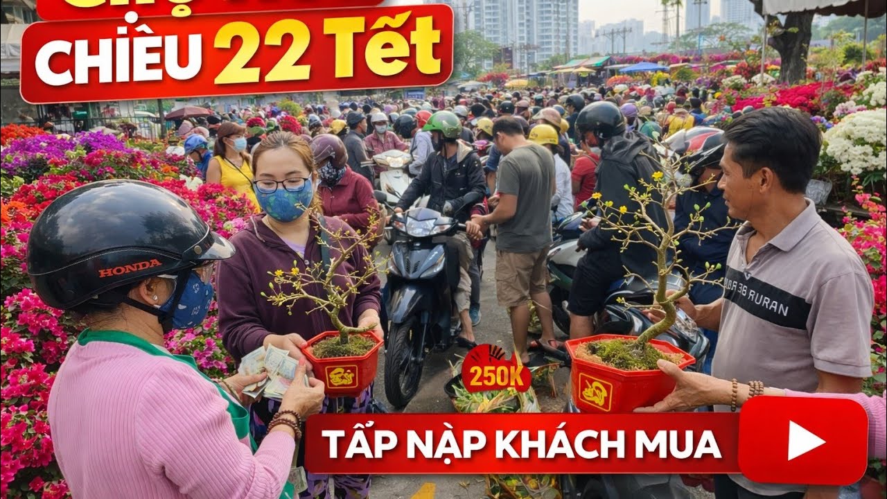 Sôi nổi Chợ Hoa Bến Bình Đông Chiều 22 Tết tấp nập khách mua hoa / Quá rẻ Mai vàng bông giấy