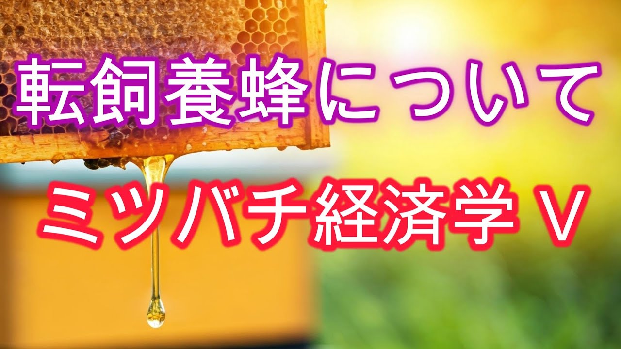 ミツバチ経済学 Ⅴ／旅する養蜂について考える／山崎亮一／日英字幕付き／Beekeeping economics Ⅴ／Migratory Beekeeping／R Yamazaki／Eng sub
