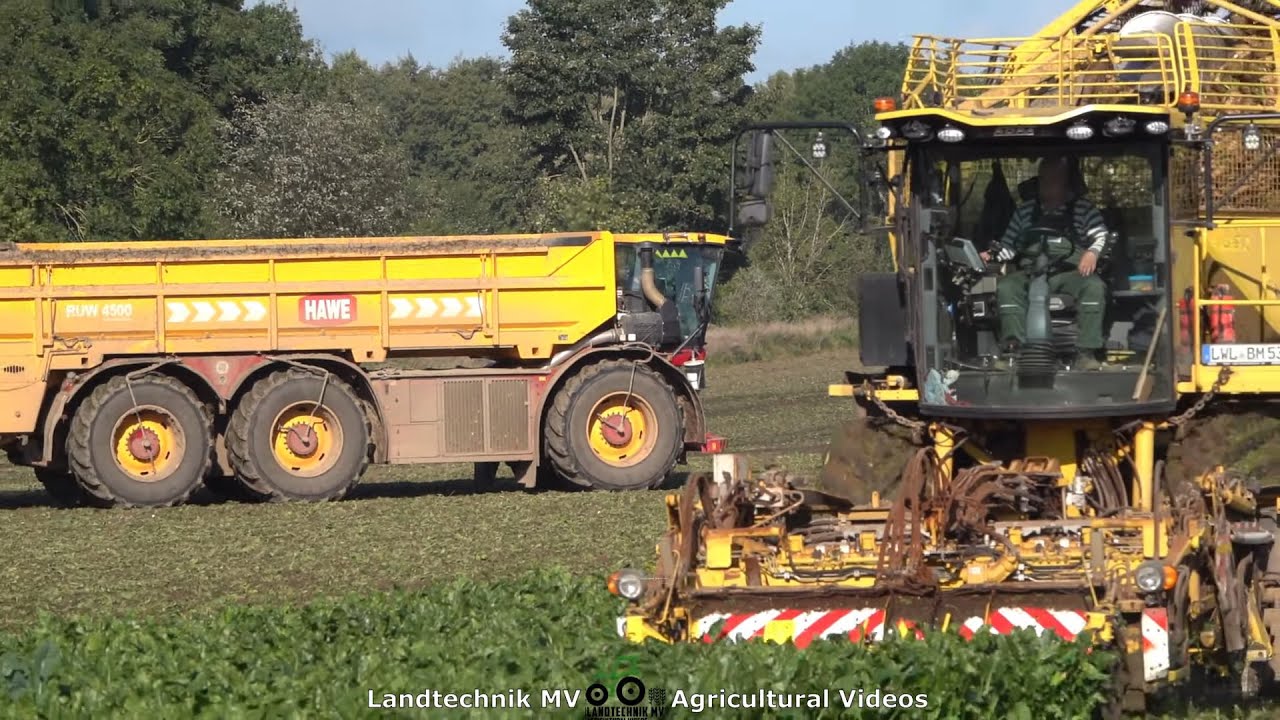 Ropa - Vredo - Fendt / Rübenernte - Harvesting Beets  2021