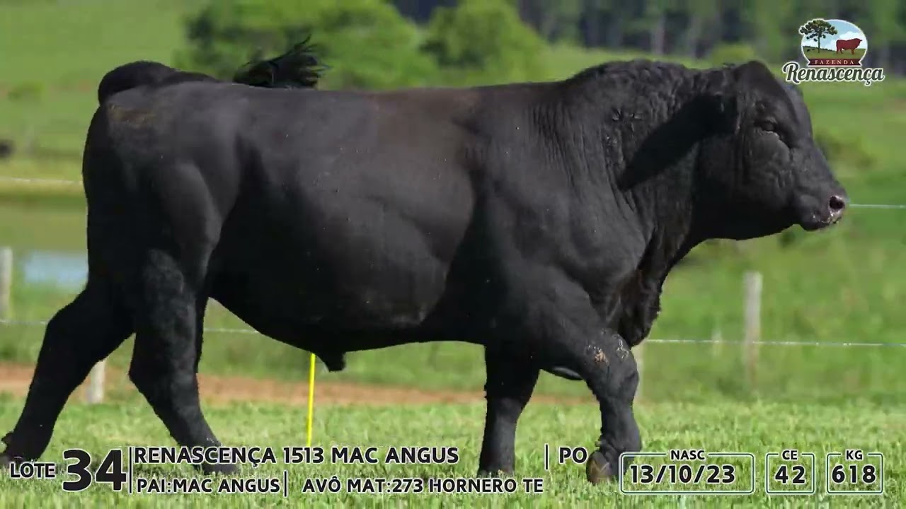 LOTE 034