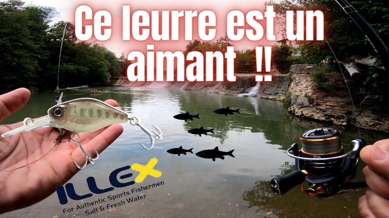 Le Diving Chubby ILLEX , un aimant à poissons ( Truites , chevesne et barbeau ).