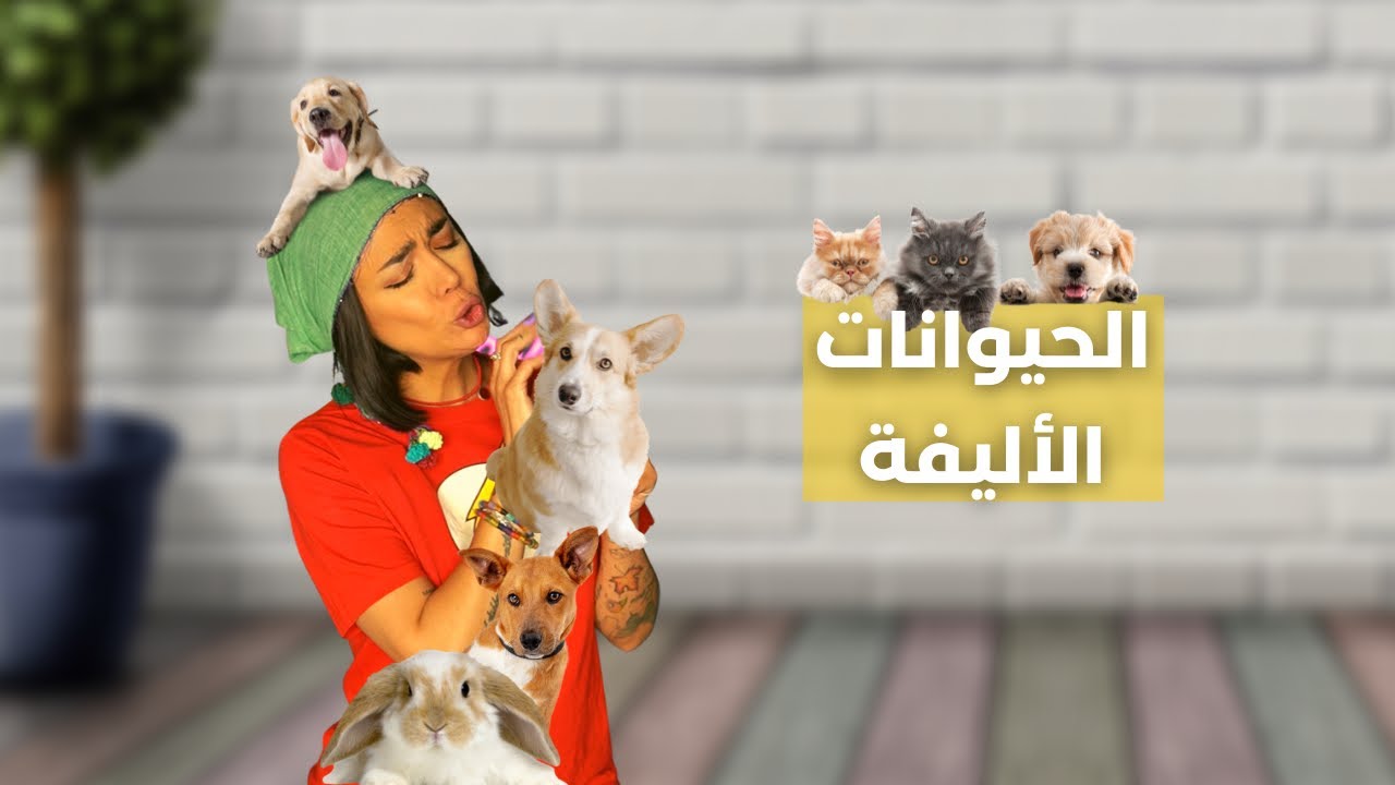 ليش بنحب حيواناتنا الأليفة | Why do we love our pets