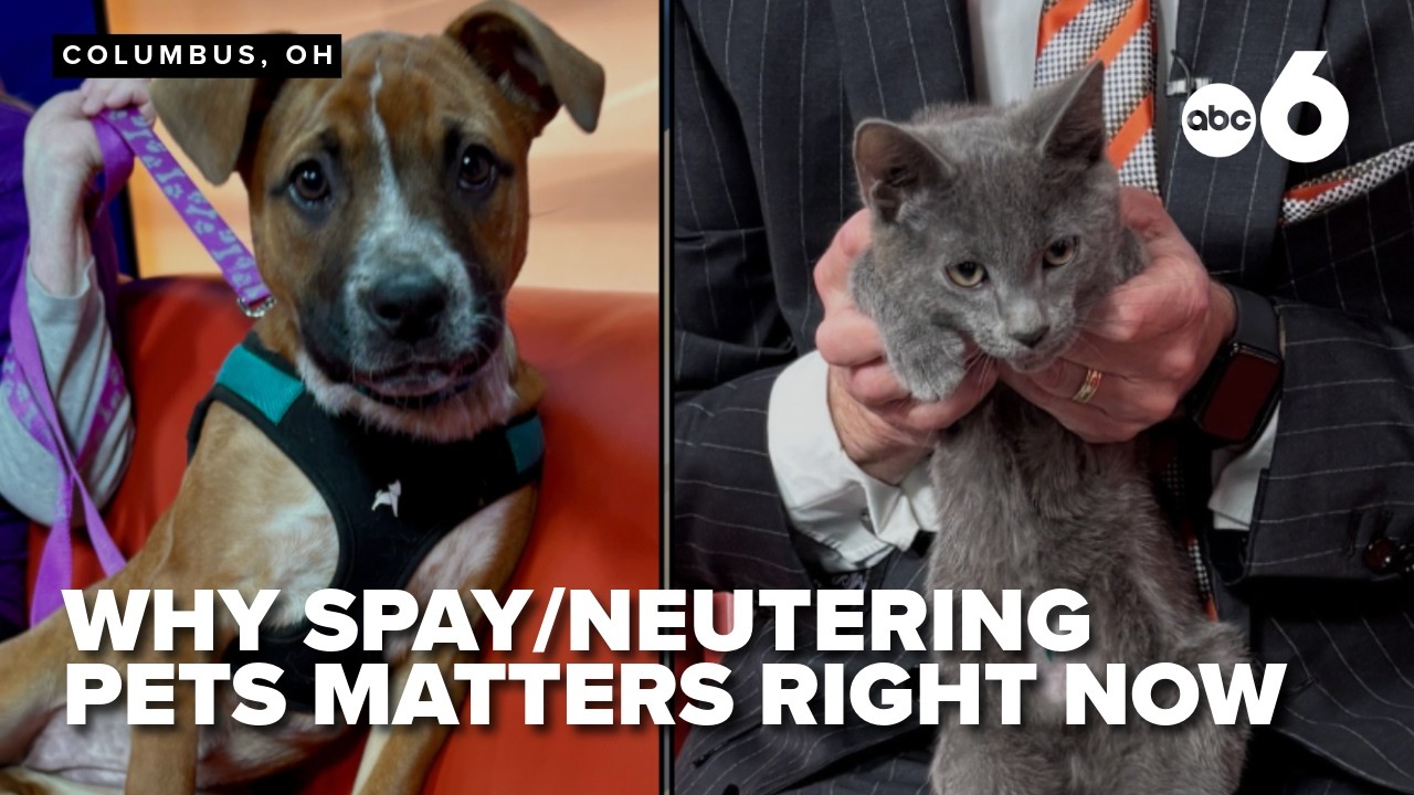 Why spay/neutering your pets matters, preparing for upcoming 