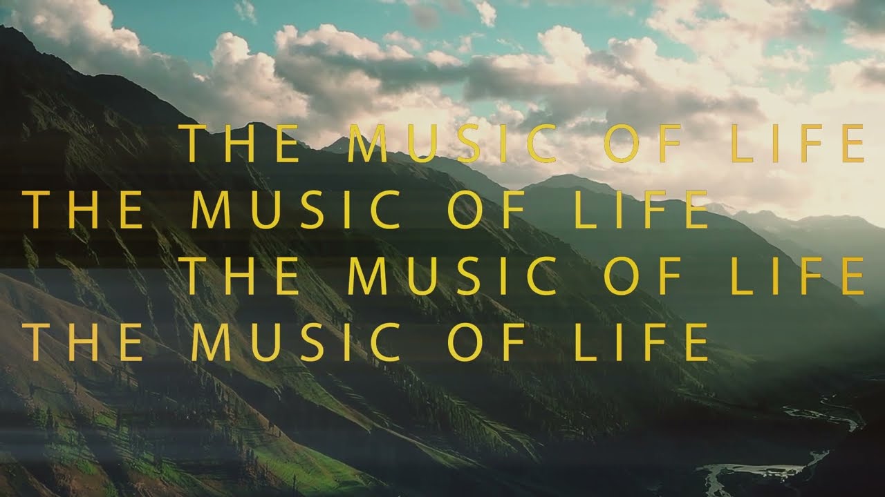 The Music of Life