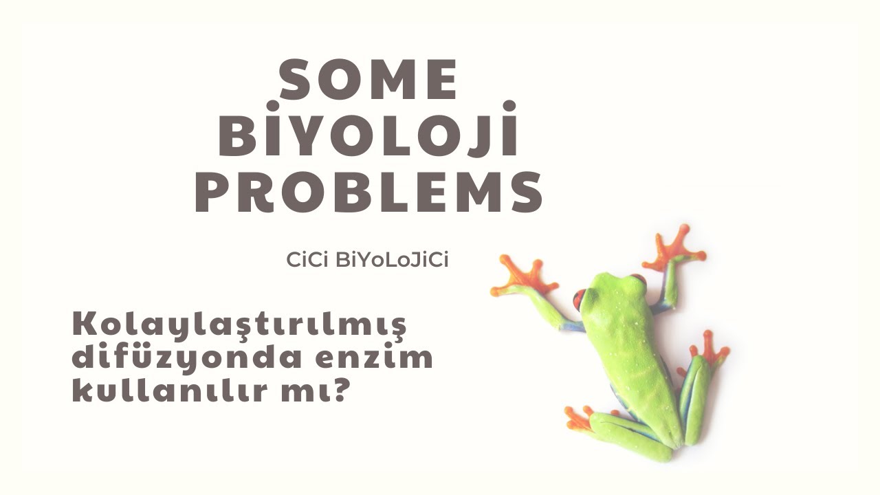 Kolaylaştırılmış Difüzyonda Enzim Kullanılır mı?