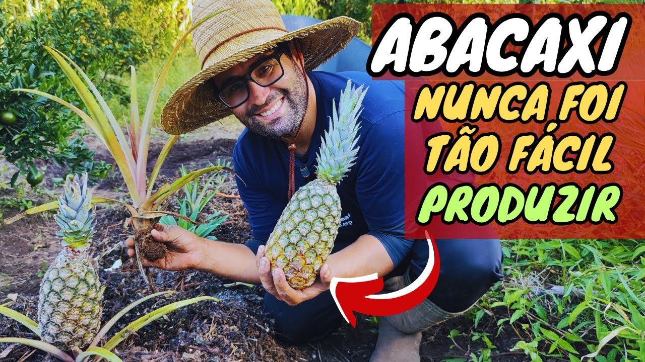 ✅ COMO PLANTAR ABACAXI em Casa – Guia COMPLETO  ( Atualizado 2025)