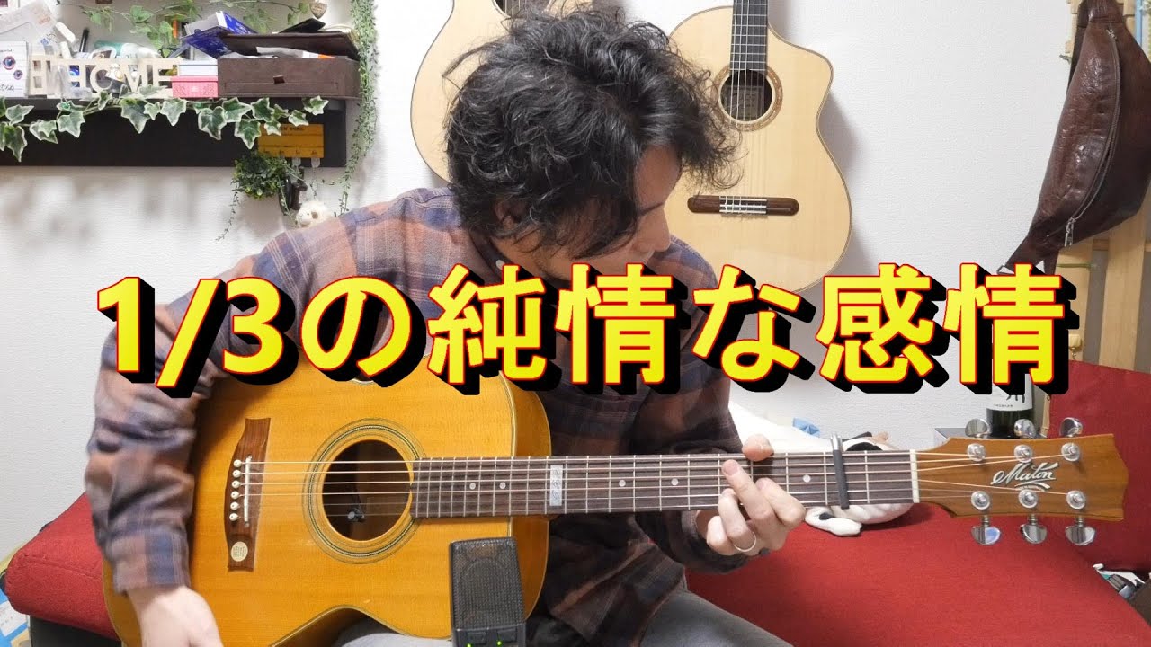 (TAB有)SIAM SHADE 「1/3の純情な感情」Fingerstyle solo guitar By龍藏Ryuzo