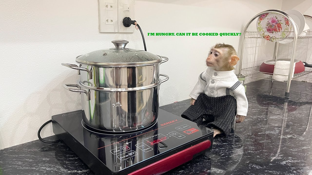 Baby Monkey LuLu and Dad ate delicious dumplings together