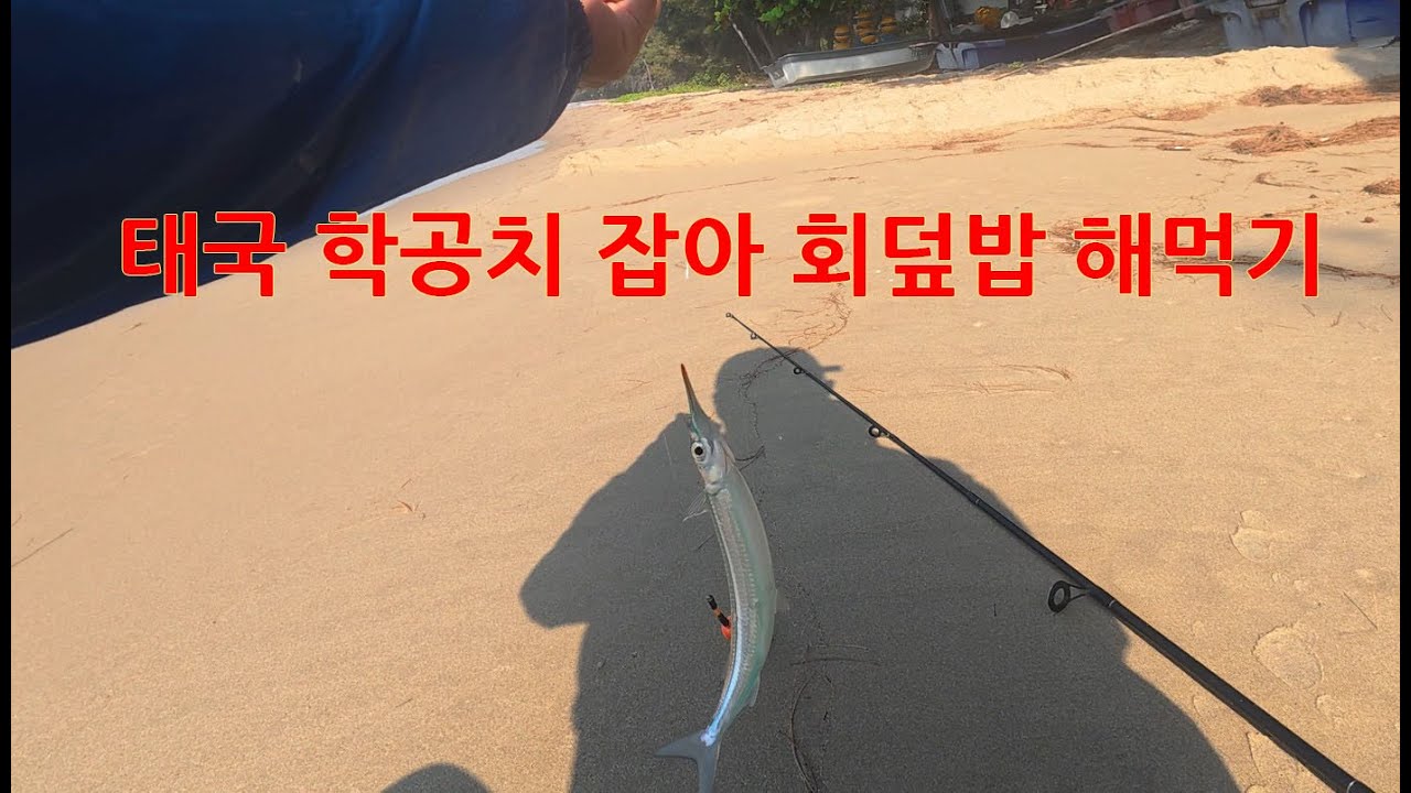 태국 학공치 1마리 잡아서 회덮밥 해먹기(학꽁치 잡기)#태국생활#태국낚시#학공치낚시#학꽁치낚시