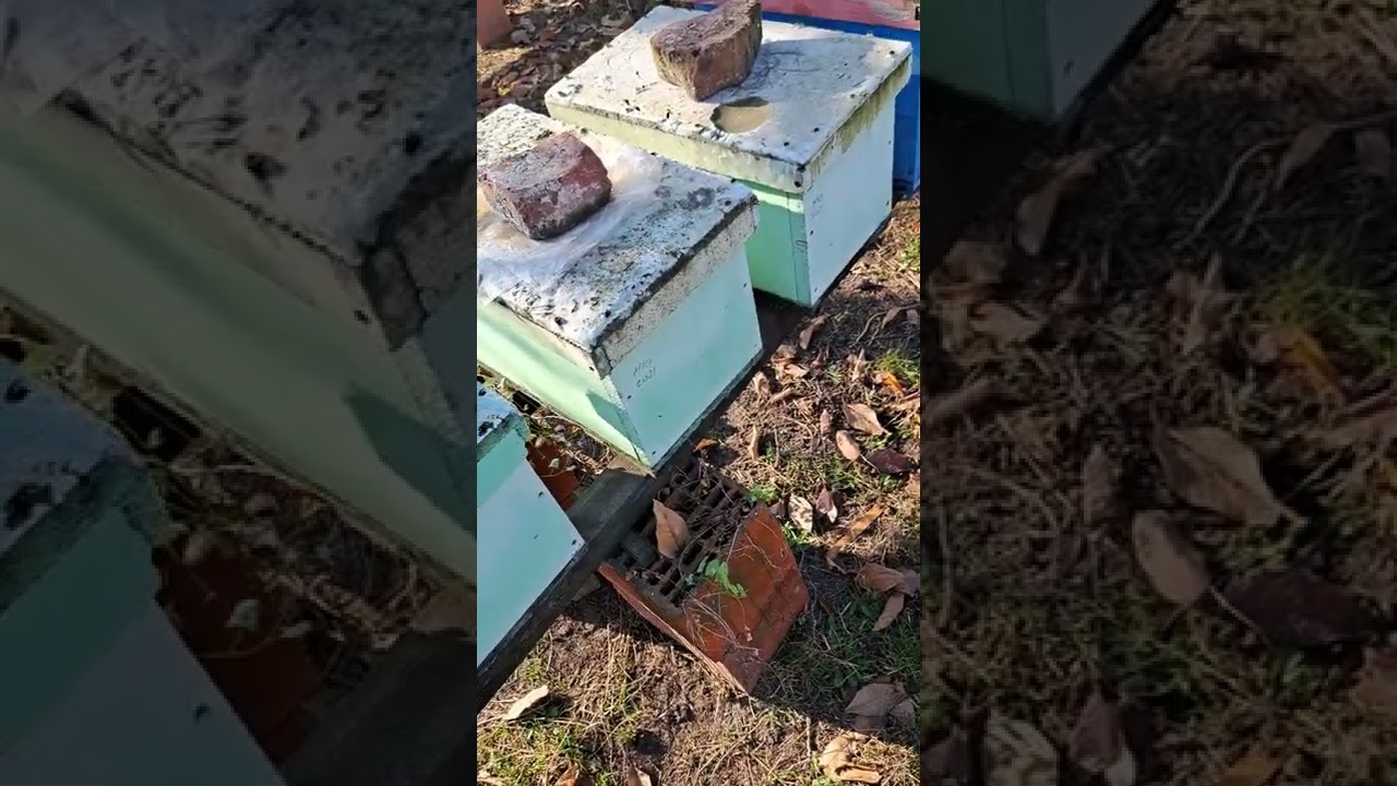 sfaturi în achiziția de matci