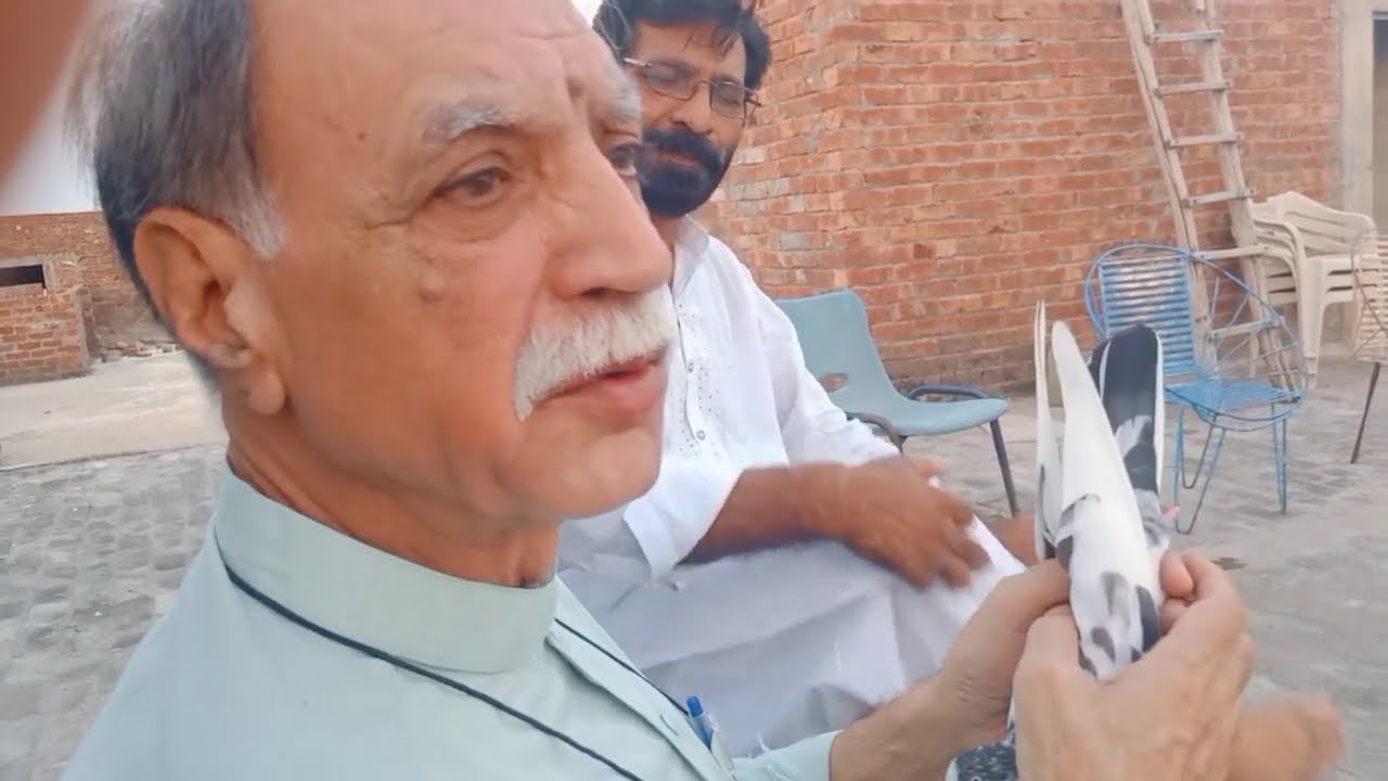 kabootar k per ki info by USTAD Farooq But part 2