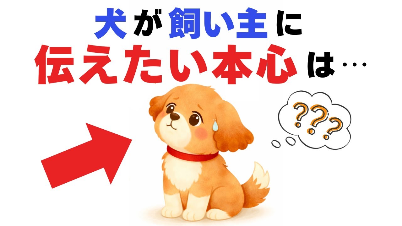 【犬の本心】飼い主の顔をじっと見つめる時に犬が考えていること