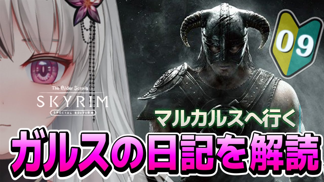 🔴The Elder Scrolls V: Skyrim｜🔰＃9｜カーリアさんを信じてみる🌙*ﾟ