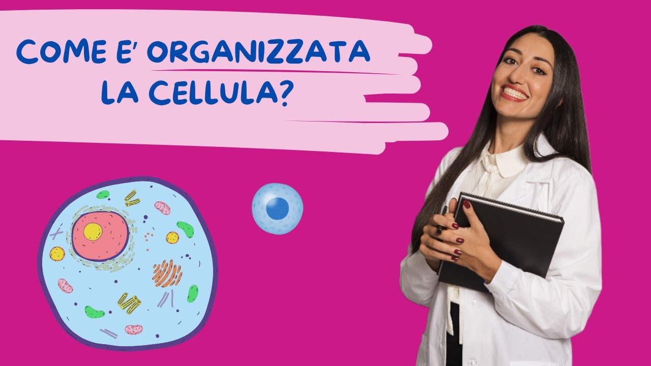 COME è ORGANIZZATA LA CELLULA? PROTOPLASMA, CITOPLASMA, CITOSOL