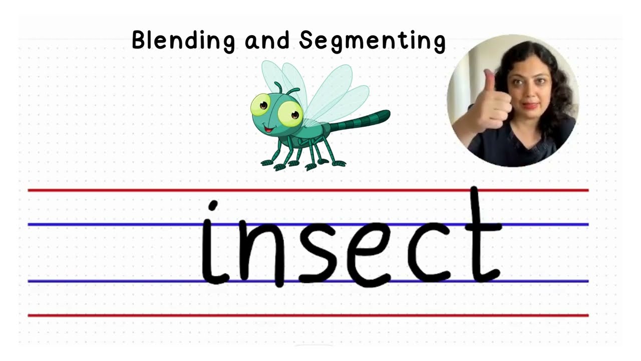 Learn to Read and Spell  with Phonics with Ms Sam | Phonics Reading