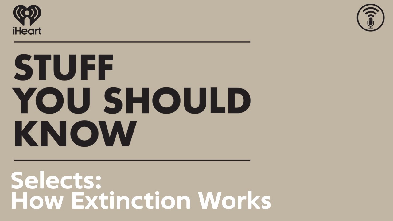 Selects: How Extinction Works | STUFF YOU SHOULD KNOW