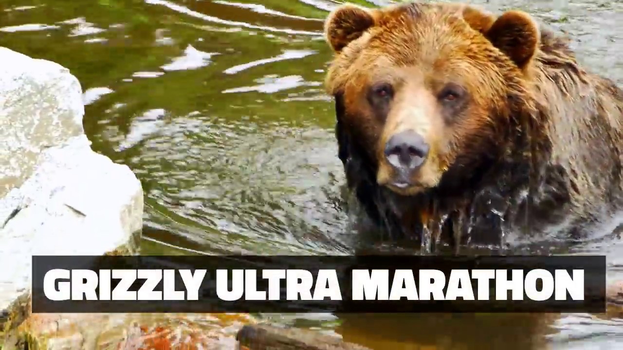 Grizzly Ultra Marathon