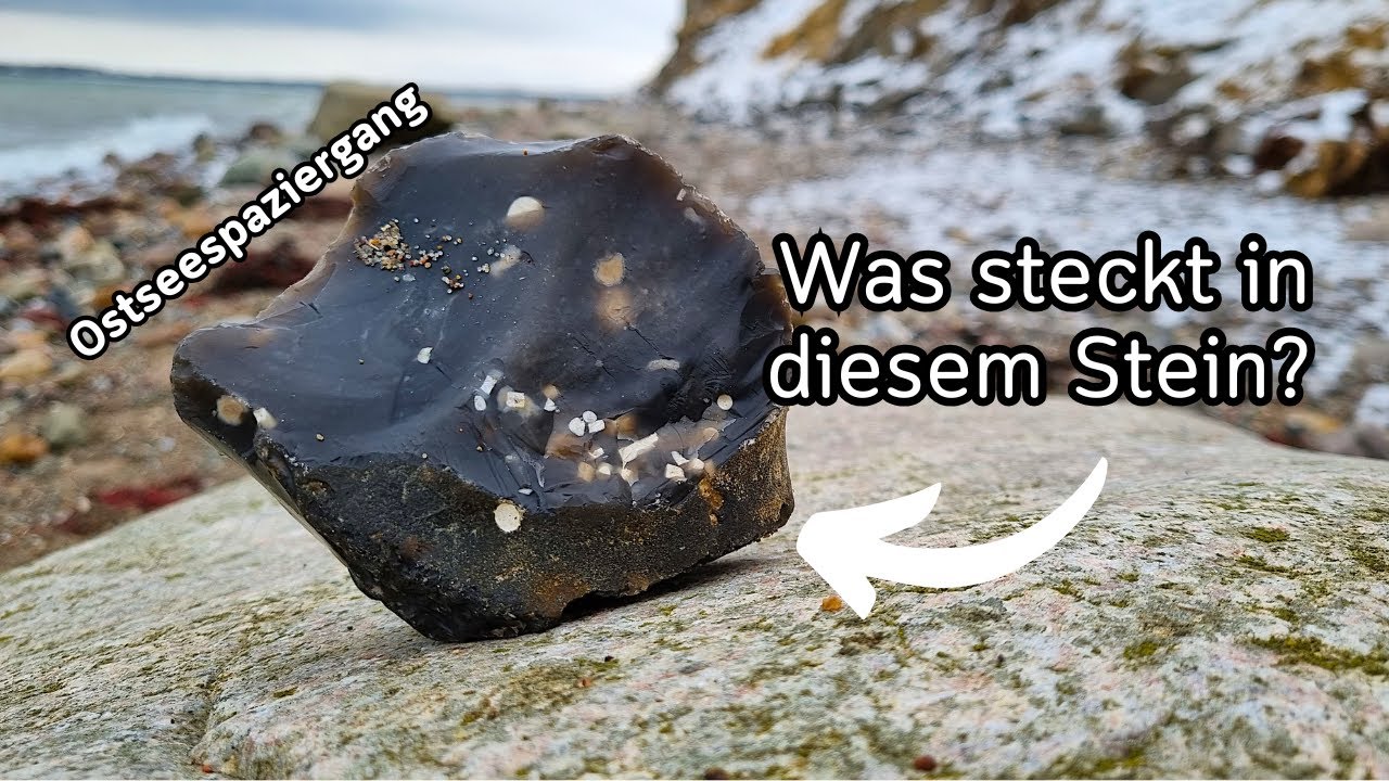 Was steckt da drin? Fossilien suchen an der Ostsee