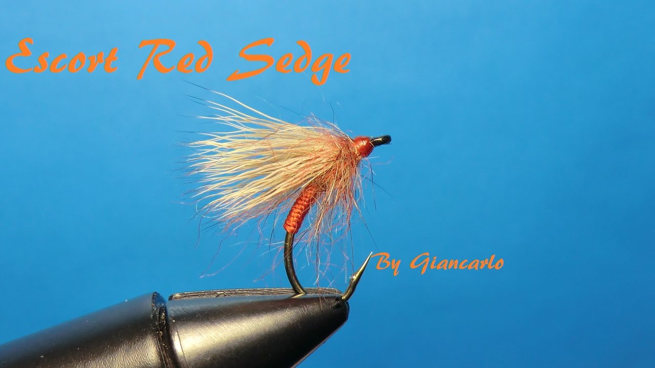 ESCORT RED SEDGE By Giancarlo