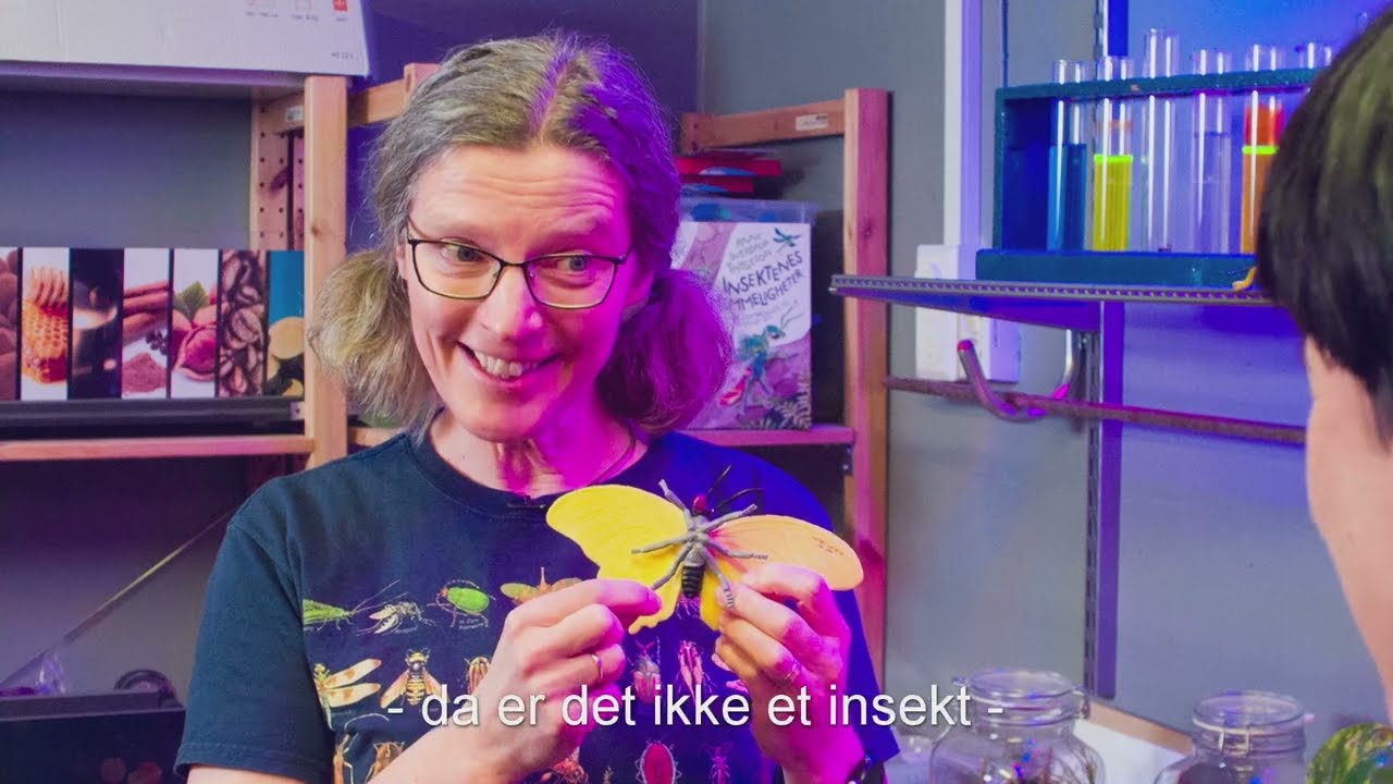 Hvordan skiller insekter seg fra andre levende vesener? Med professor Anne Sverdrup-Thygeson