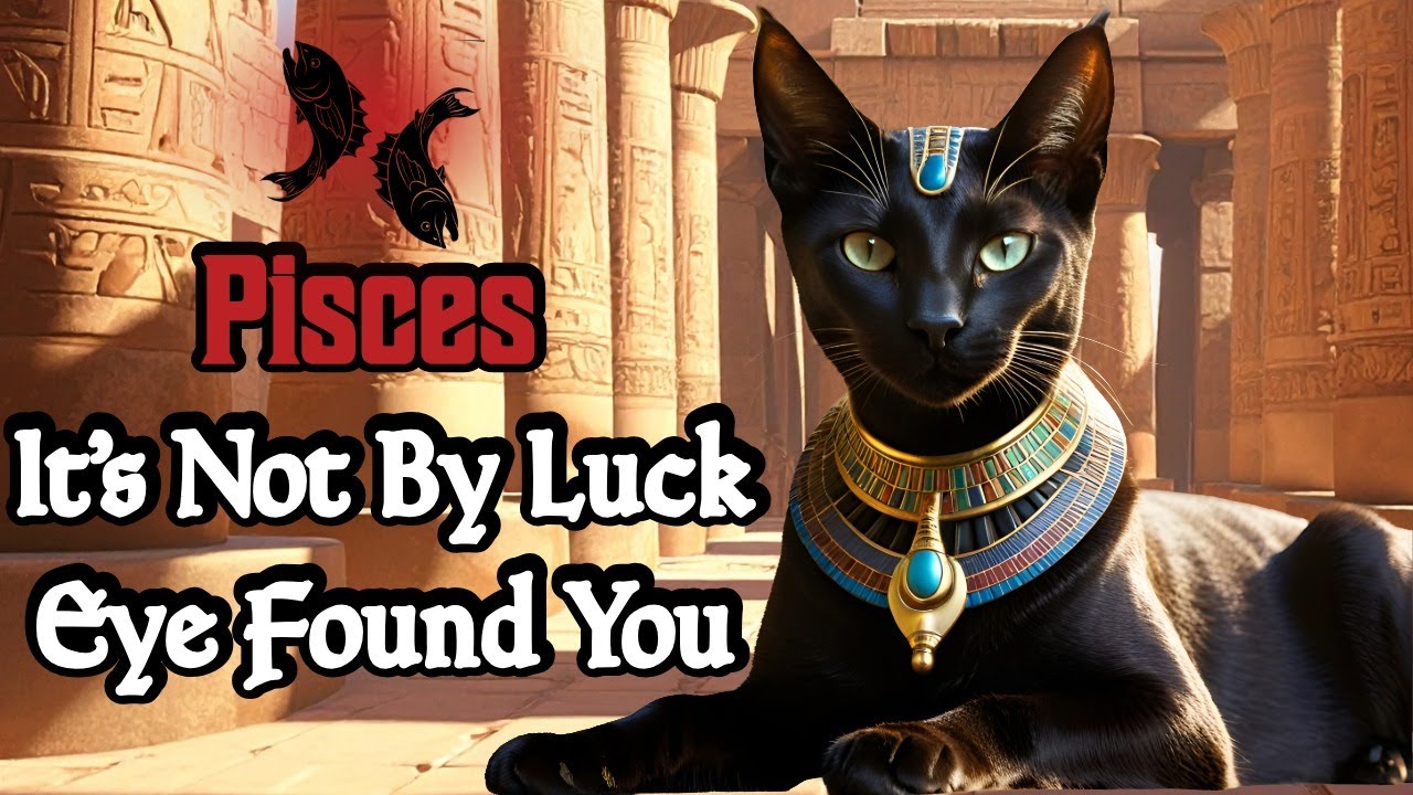 👁️Pisces | ♓A Trusted Alliance Already Plans To Meet You | Eye Found You