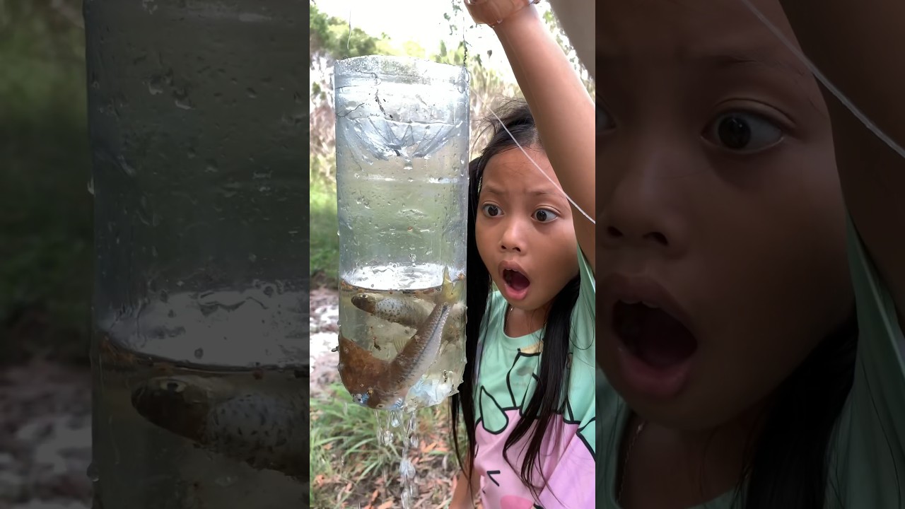 Survival Skills: New Fish TRAPPING with bottle #survival #bushcraft #camping #useful