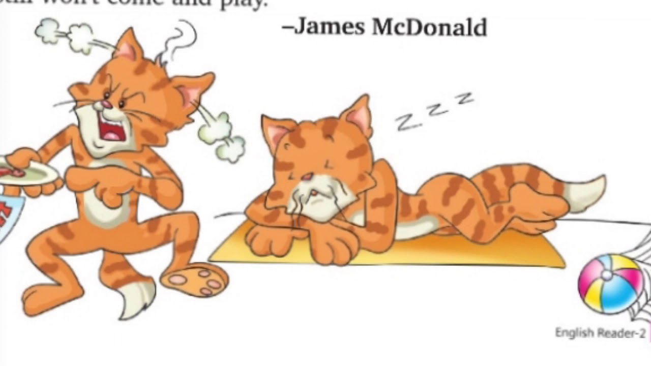 My cat is fat , chapter 4, class 2nd, English reader