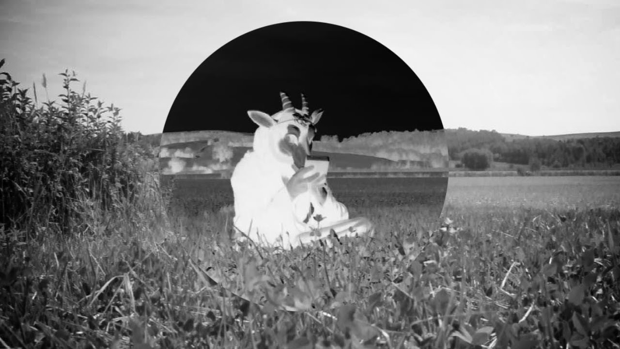 THE DEVIL & THE UNIVERSE - Black Harvest official promo video