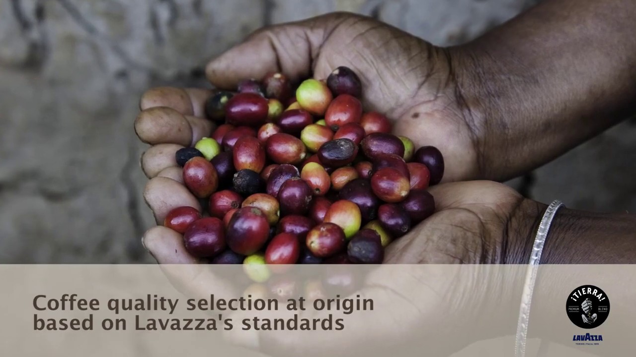 LAVAZZA TIERRA