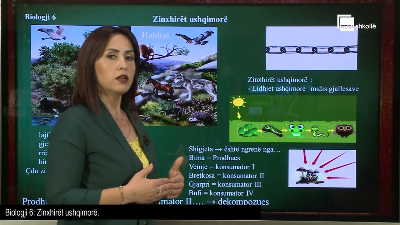 Zinxhirët ushqimorë në habitate të ndryshme | Biologji 6