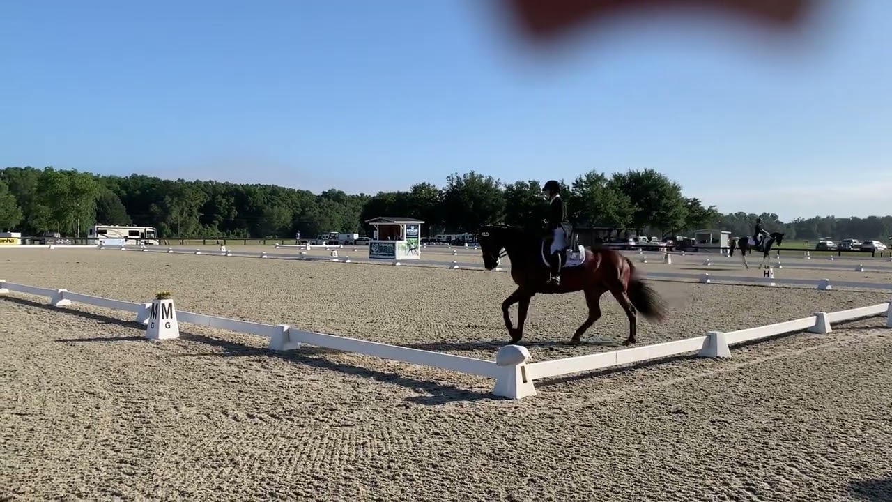 FEI CCI Eventing 2* test B 2022