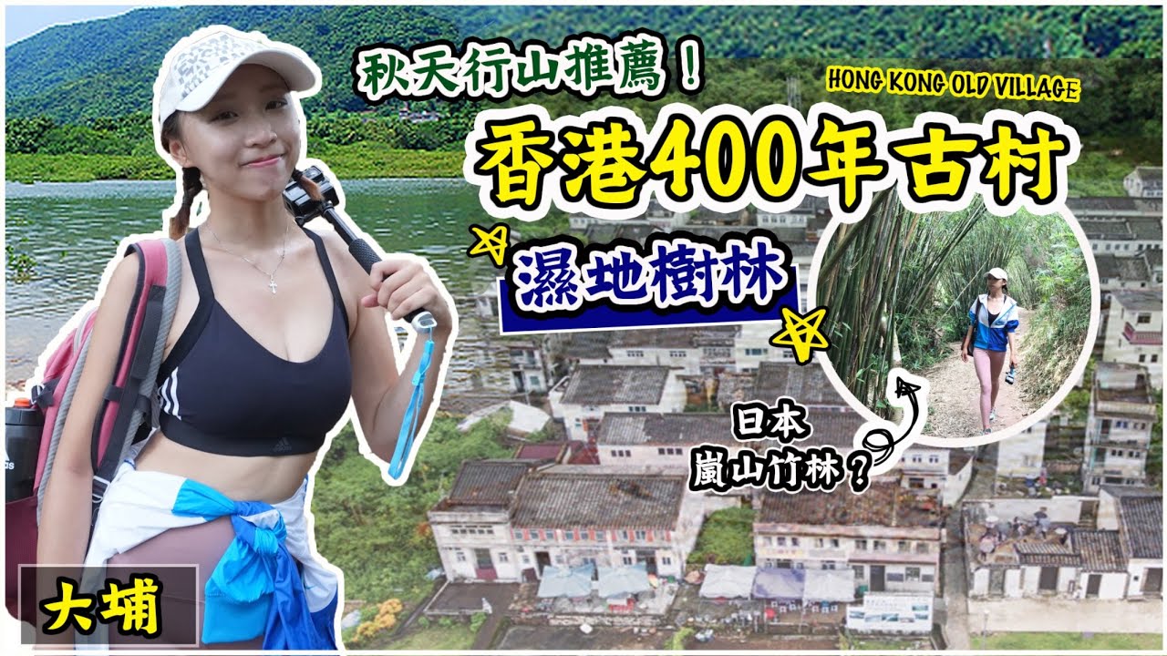 【天呀！我終於到啦】荔枝窩400年客家村大改造？｜烏蛟騰至鹿頸15公里全走｜香港最大銀葉樹林｜#荔枝窩自然步道｜空心樹｜五指樟