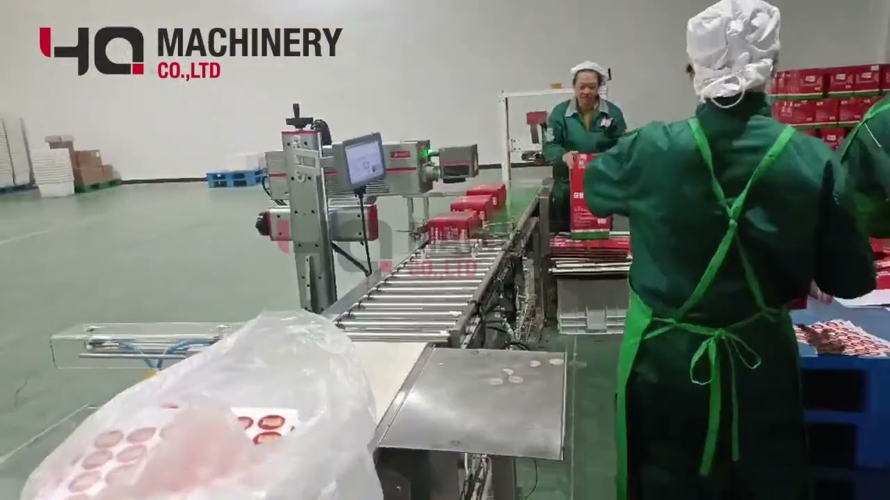 automatic cartoning machine for pickles sachets|YQ corrugated box packaging equipment #packing