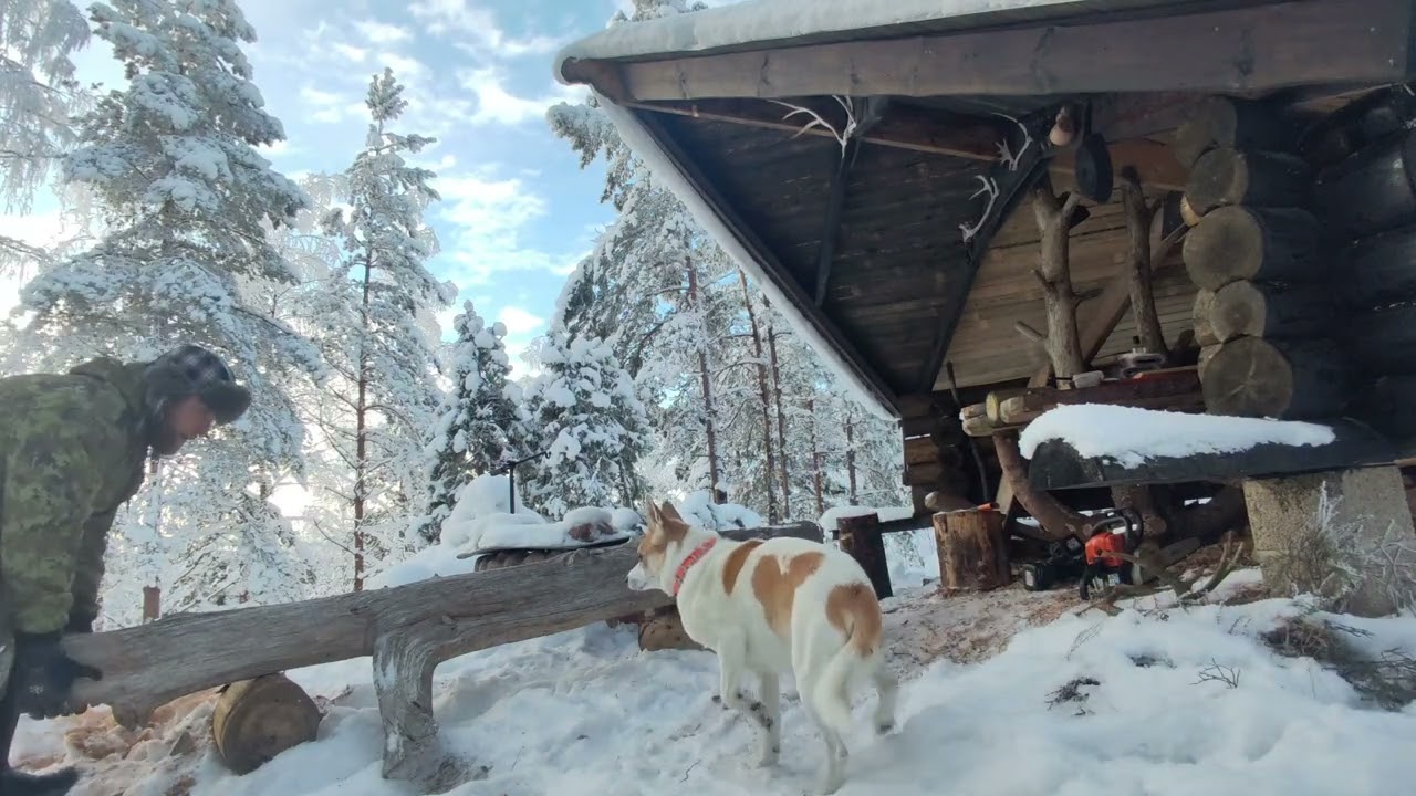 Finishing the Camp Shelter