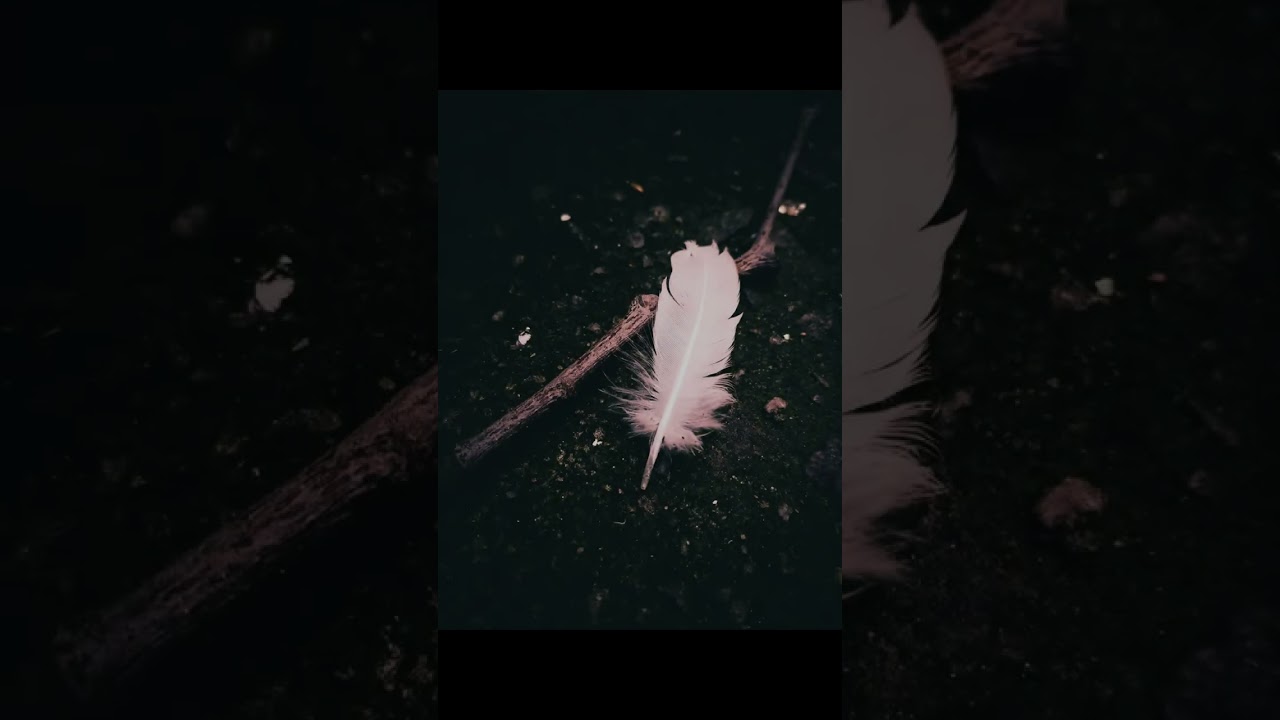 اهم اشكال علاقة الأنثى النورانيه بالرجل ولماذا تتعرض للخذلان ؟؟