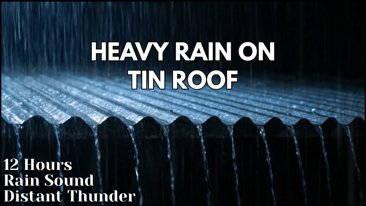 NO ADS LIVE 12 HOURS Heavy Rain on a Tin Roof | Sleep Aid • Study • Relax #SleepAid #Rain #Relax