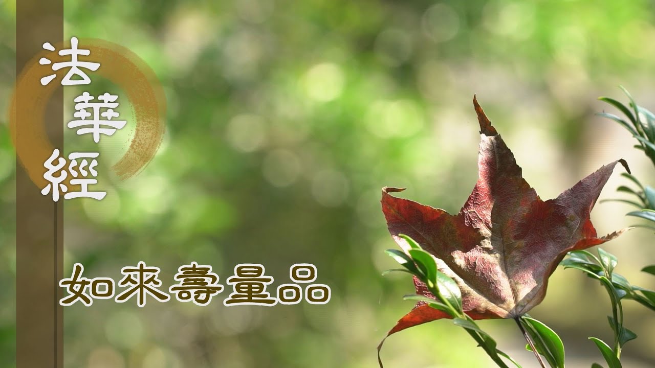 【靜思妙蓮華】法華經如來壽量品 - 眾生信伏 質直柔軟 - 20231115 第1546集
