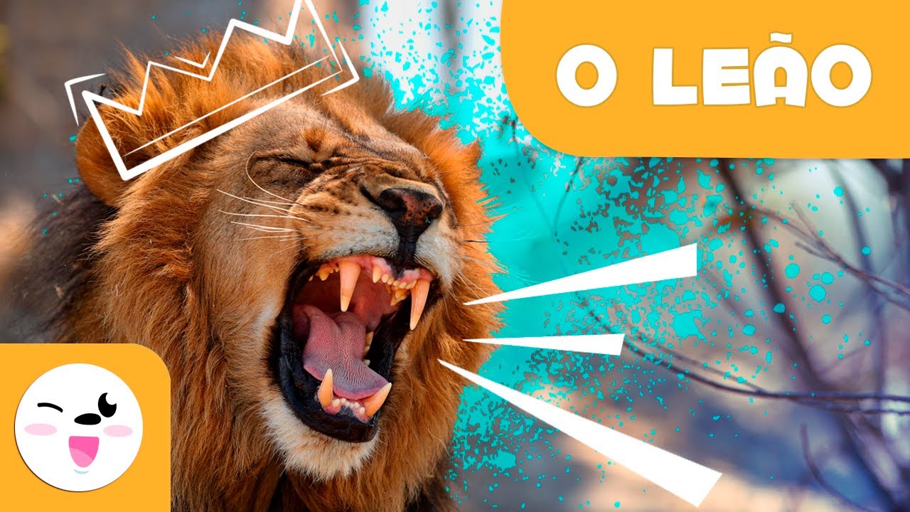O LEÃO 🦁 Animais para crianças 🌞Episódio 1