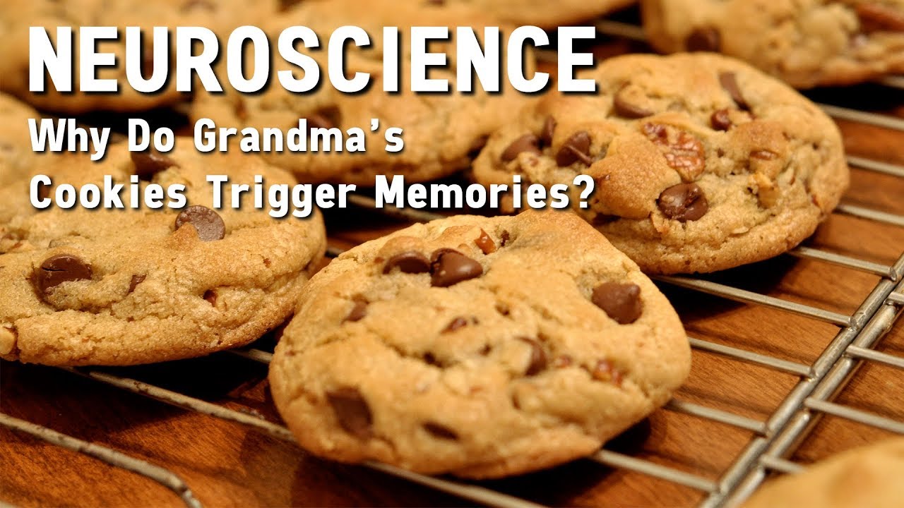 Episode 8 | Neuroscience Fact | Why Do Smells Trigger Memories?