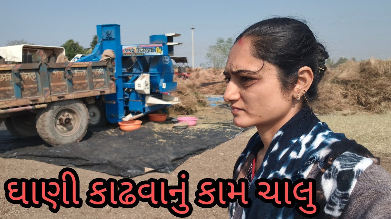આજે ઘાણી કાઢવાના શ્રી ગણેશ કર્યા 🎉 village life 🌿