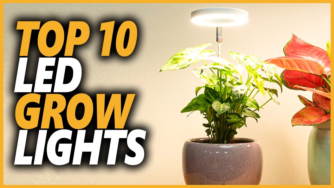Top 10 Best LED Grow Lights For Growing Plants In 2023