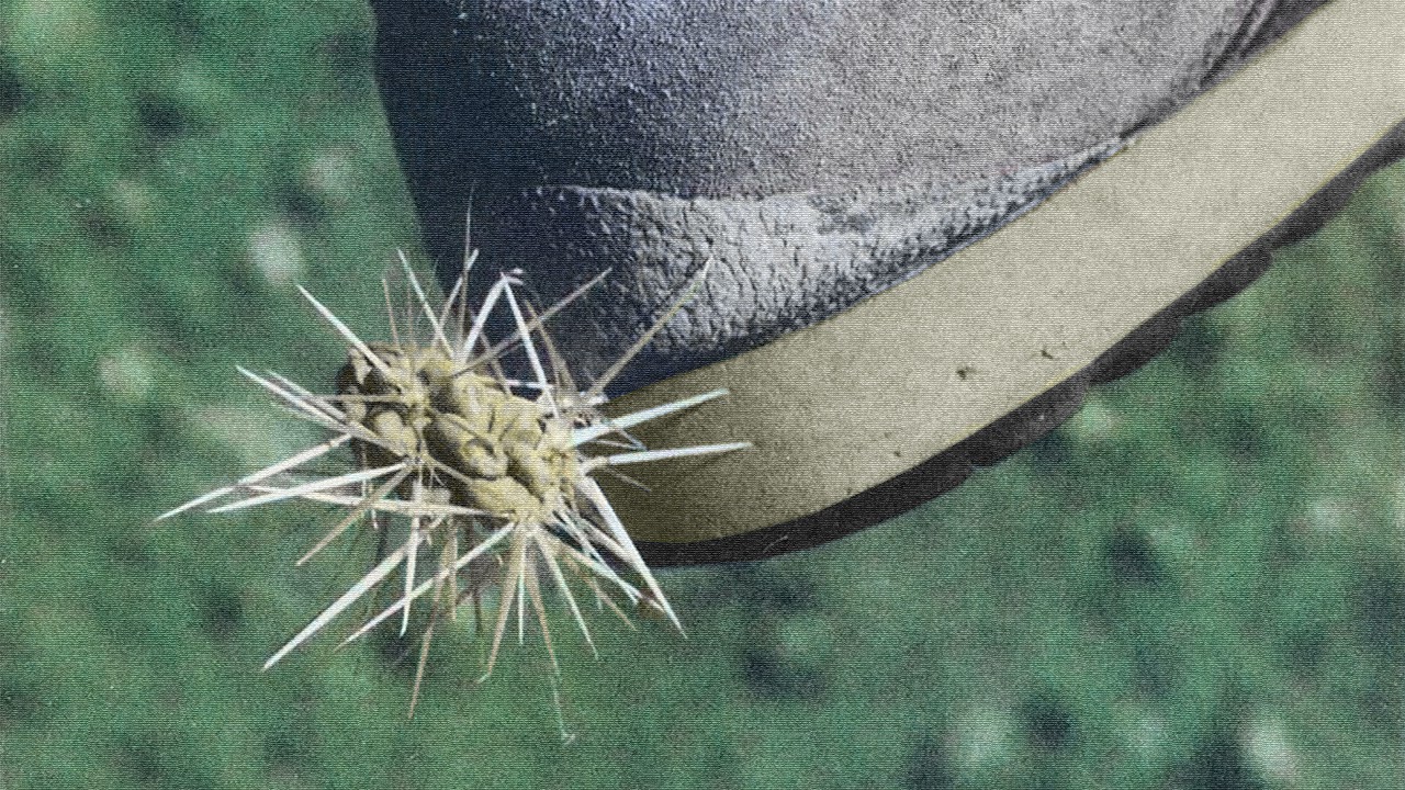 Ross From Friends - 'Revellers'